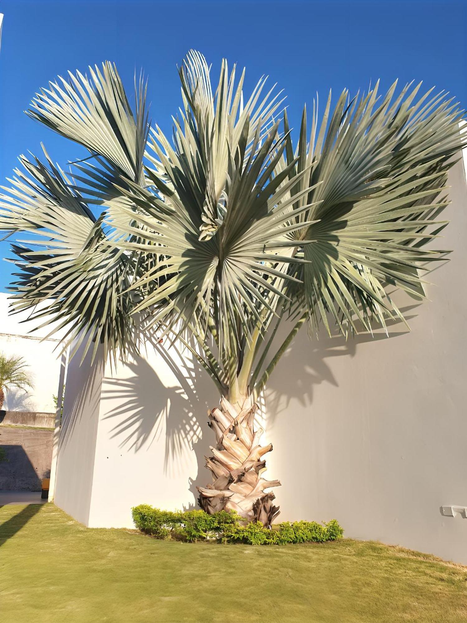 Beach Villa With Cozy Terrace Río Hato エクステリア 写真