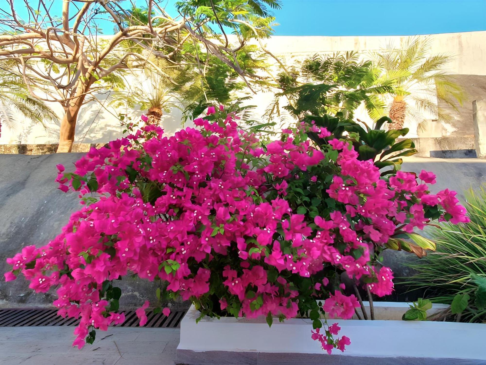 Beach Villa With Cozy Terrace Río Hato エクステリア 写真